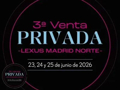 Usado Lexus UX 250h