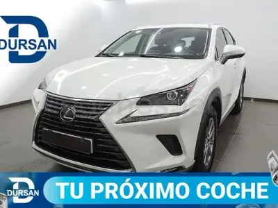 Usado Lexus NX300h Business Edition 197 CV (144 kW) 2019 Blanco SUV