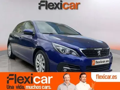 Brugt Peugeot 308 SW