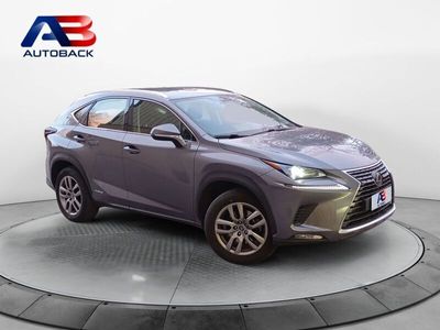 Lexus NX300h