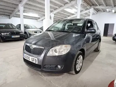 Usado Skoda Fabia
