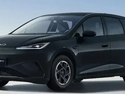 Usado BYD Dolphin