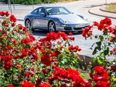 Usado Porsche 911 Carrera 325 CV (239 kW) 2005 Gris / plata Coupe