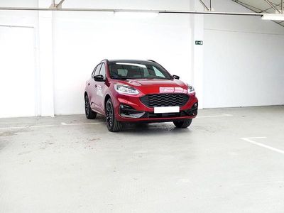 Usado Ford Kuga ST-Line X 226 CV (166 kW) 2023 Rojo SUV