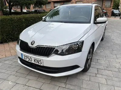 Brugt Skoda Fabia