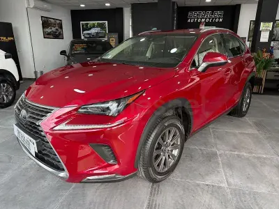 Usado Lexus NX300h Business Edition 197 CV (144 kW) 2019 Rojo SUV
