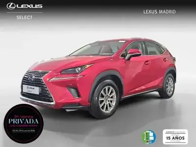 Usado Lexus NX300h Business Edition 197 CV (144 kW) 2020 Rojo SUV