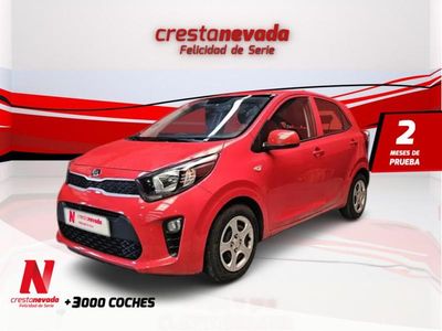 Usado Kia Picanto 67 CV (49 kW) 2020 Rojo Utilitario