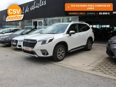 Usado Subaru Forester