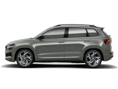 Usado Skoda Karoq