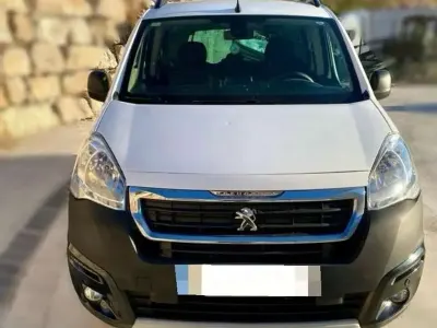 Usado Peugeot TePee