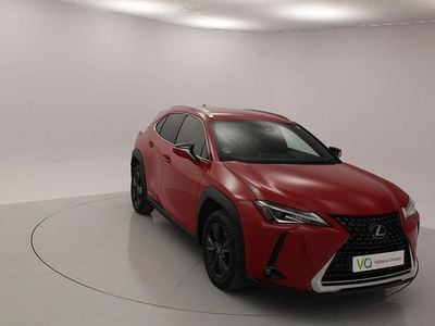 Usado Lexus UX 250h Business Edition 184 CV (135 kW) 2019 Rojo SUV