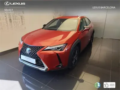 Brugt Lexus UX 250h Business Edition 184 HK (135 kW) 2022 Orange SUV