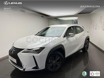 Usado Lexus UX Business Edition 184 CV (135 kW) 2020 Blanco SUV