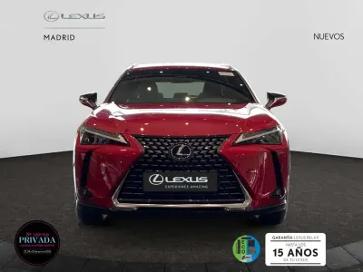 Nuevo Lexus UX 300h 199 CV (146 kW) 2026 Rojo SUV