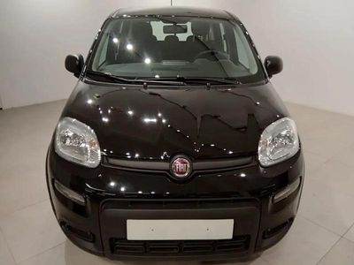 Occasion Fiat Panda 70 PK (51 kW) 2024 Zwart Hatchback