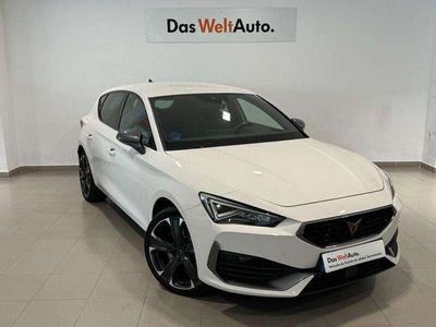 usado Cupra Leon 1.5 ETSI DSG 110Kw