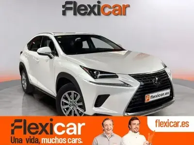 Usado Lexus NX300h Business Edition 197 CV (144 kW) 2020 Blanco SUV
