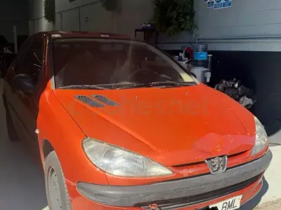 Usado Peugeot 206