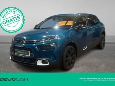 Usado Citroën C4 Cactus Shine 99 CV (72 kW) 2019 Azul Utilitario