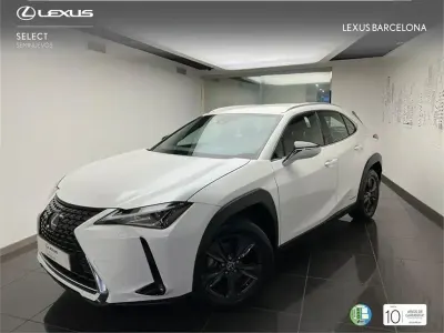 Brugt Lexus UX 250h Business Edition 184 HK (135 kW) 2022 Hvid SUV