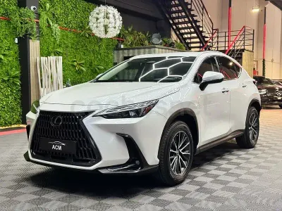 Usado Lexus NX350h