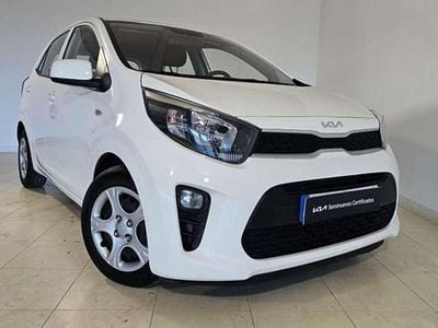Usado Kia Picanto 67 CV (49 kW) 2024 Blanco Utilitario