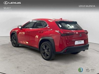 Rojo Usado 2021 Lexus UX Business Edition SUV | 24.500 € (Precio justo)