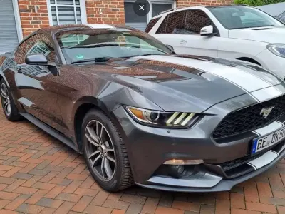 Usado Ford Mustang