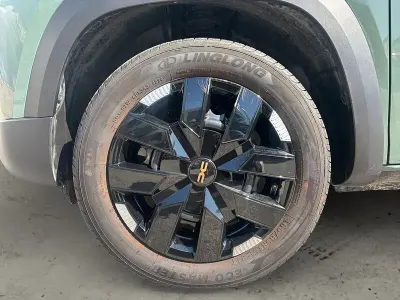 Usado Dacia Spring