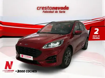 Usado Ford Kuga ST-Line X 190 CV (139 kW) 2022 Rojo SUV