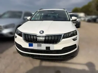 Usado Skoda Karoq