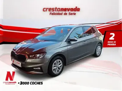 Käytetty Skoda Fabia Selection 80 HP (58 kW) 2024 Harmaa Viistoperä