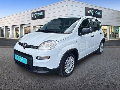 Usado Fiat Panda Comfort 70 CV (51 kW) 2023 Blanco Utilitario