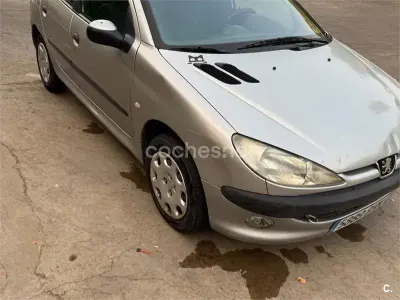 Usado Peugeot 206