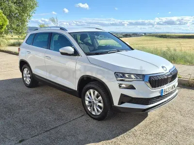 Usado Skoda Karoq