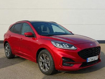 Usado Ford Kuga ST-Line 190 CV (139 kW) 2021 Rojo SUV