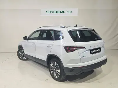 Usado Skoda Karoq