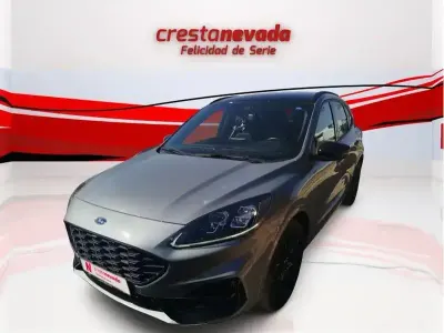 Usado Ford Kuga ST-Line X 190 CV (139 kW) 2023 Gris SUV