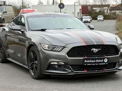 Gris Usado 2016 Ford Mustang Fastback Coupe | 27.763 € (Buen precio)