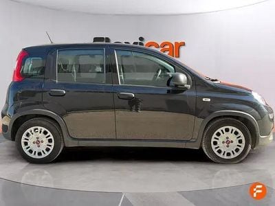 Occasion Fiat Panda 70 PK (51 kW) 2023 Zwart Hatchback