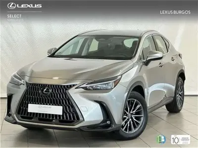 Usado Lexus NX450h+ 306 CV (225 kW) 2025 Gris SUV