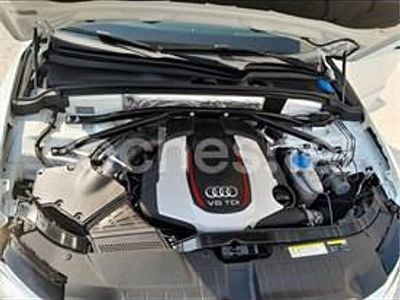 Usado Audi SQ5 340 CV (250 kW) 2016 Blanco SUV