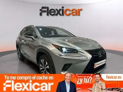Usado Lexus NX300h Business Edition 197 CV (144 kW) 2021 Gris SUV