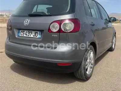 Usado VW Golf Plus Edition 105 CV (77 kW) 2007 Gris / plata Monovolumen