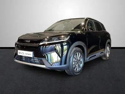 Usado BYD Atto 2