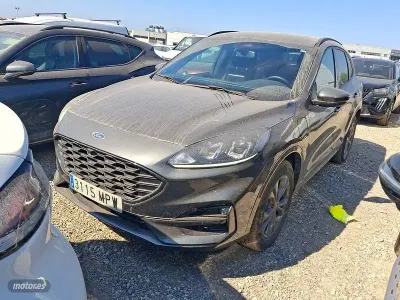 Usado Ford Kuga ST-Line 225 CV (165 kW) 2024 Gris SUV