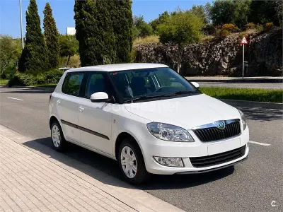 Usado Skoda Fabia