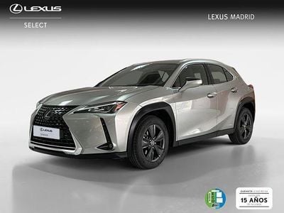 Usado Lexus UX Business Edition 184 CV (135 kW) 2020 Gris SUV