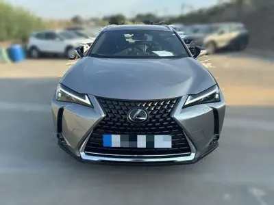 Usado Lexus UX 250h
